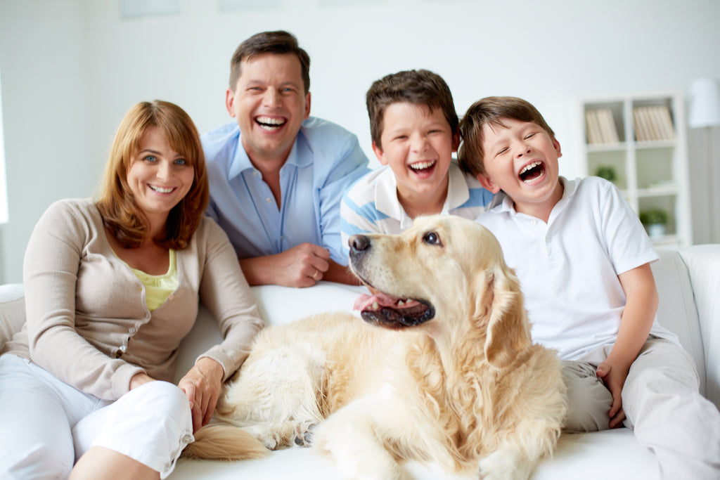 Relationships Healing Through Infinity MP3